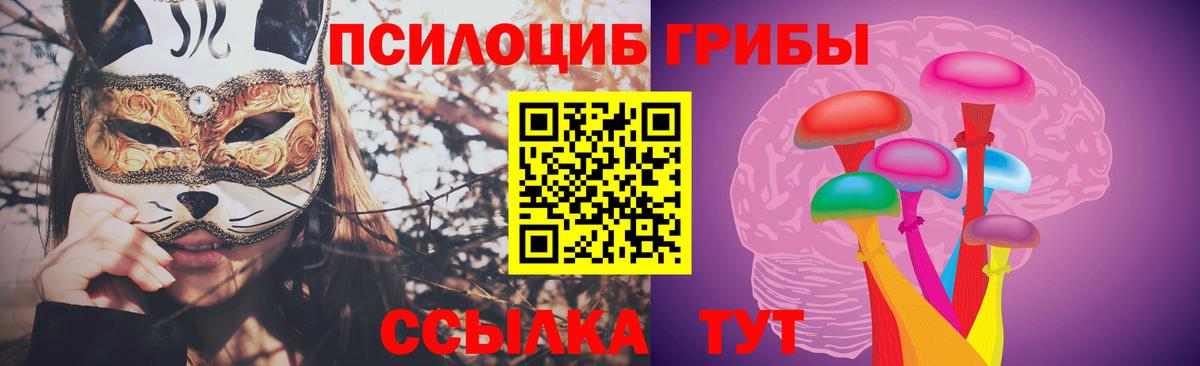 Усинск  Галлюциногенные грибы Cubensis  Вход с VPN 